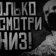 Ворлд Бегемот Кот