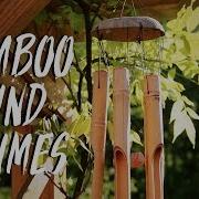 Asmr Relaxing Bamboo Wind