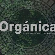 Organic Techno