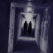 I Miss Us Vioflesh