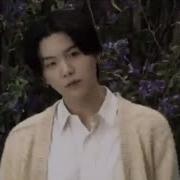 Cover Yoongi Камин