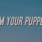 I Am Your Puppet James And Bobby