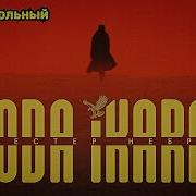 Честер Небро Все Альбомы