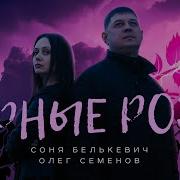 Черные Розы