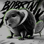 Bobrini Cocosini Funk