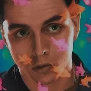 Green Day Basket Case
