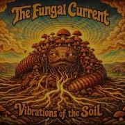 The Fungal Current