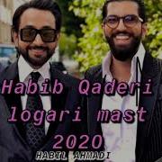 Habib Qaderi Logari