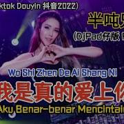 Djpad仔 抖音版