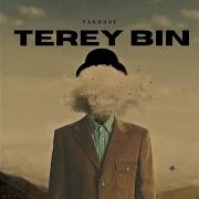 Tere Bin Pak Dude