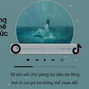 Giấc Mơ Không Thể Đánh Thức 醒不来的梦