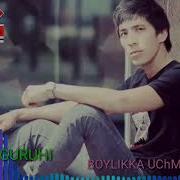 Бойликка Учма