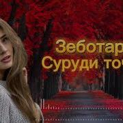 Захми Дили Ман Мегум Ки Канда Боша