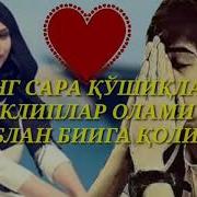 Булбул Эдим