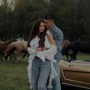 Tasso Таю