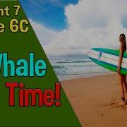 6C A Whale Of A Time