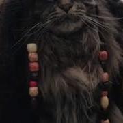 Pirates Cat Yaribeya 炮房