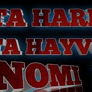 Ikki Harfli Hayvon Ismi
