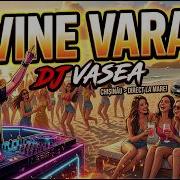 Dj Vasea Vine Vara Remix