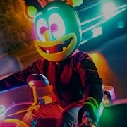 Gummy Dj