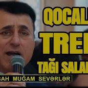 Seygahlar