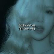 Gone Rose Speed Up