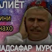 Кури Сафар
