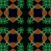 Pnau Save Disco