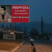 Hamma Narsa Sekin Bolarkan