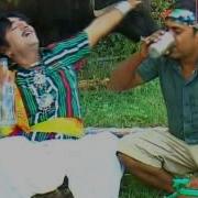 Daru Timli