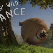 Rolling Wild