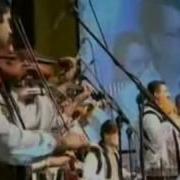 Canta Ion Dolanescu