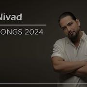 Нивад 2024