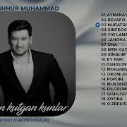 Mashur Muhammad Albom