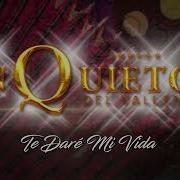 Te Daré Mi Vida