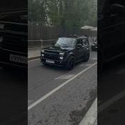 Niva Bass