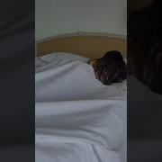 نيك طيز بنات فديوه