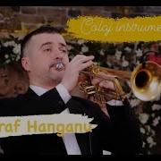 Taraf Hanganu Colaj Instrumental