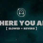 Someone Told Me Wonder Where You Are Slowed