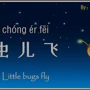 虫儿飞