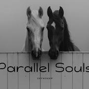 Zeyndeep Parallel Souls