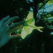 Echo Angel Secret Garden