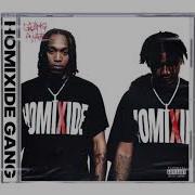 Homixide Gang Instrumental