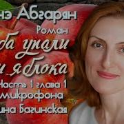 Когда Упало Небо Аудиокнига