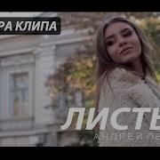 Андрей Южаков Листья