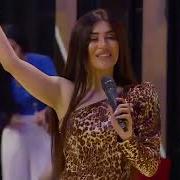 Nefes Sari Bulbul 2019