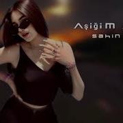 Sahin Pro Asigim Asik2