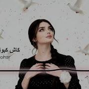 Mahsa Frohar