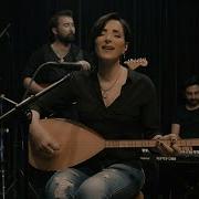 Kan Cicekleri