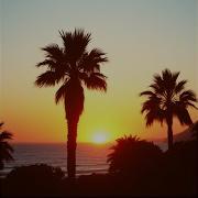 Riflesso Screaming Sunset